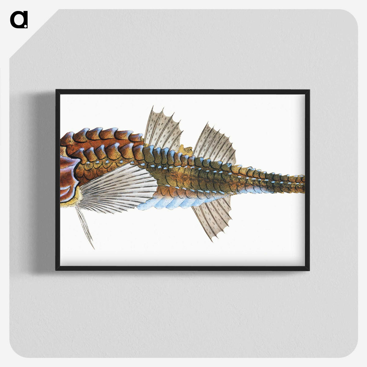 1-83_The-Natural-History-of-British-Fishes_blk-crop