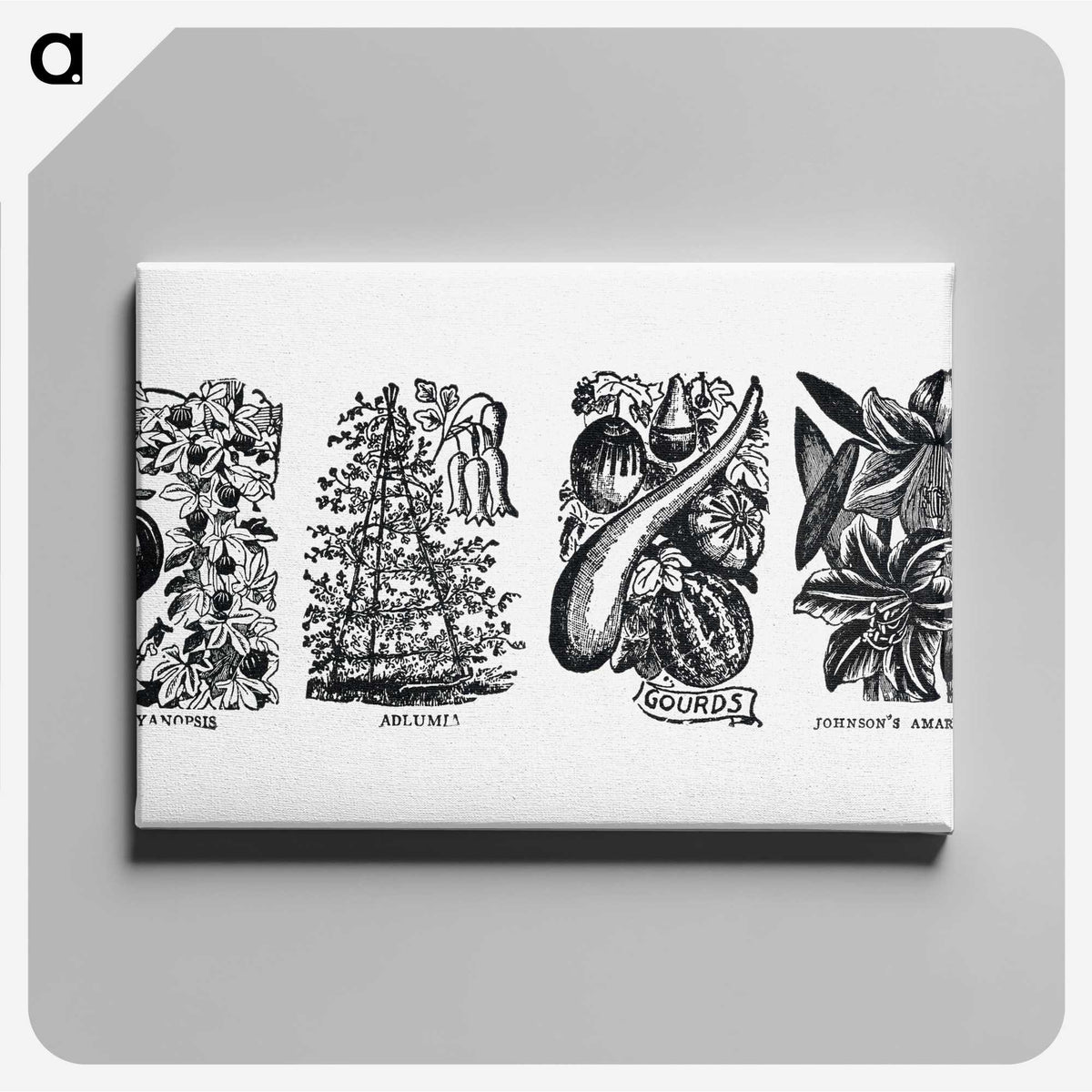 1-83_The-Open-Door-to-Independence_canvas