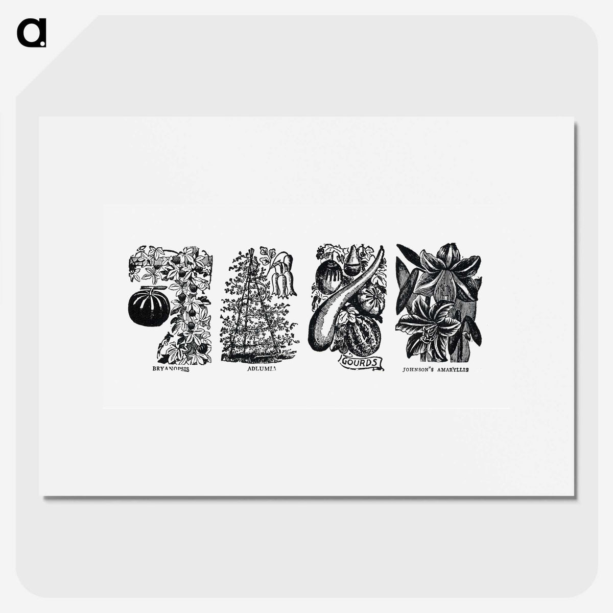 1-83_The-Open-Door-to-Independence_picture