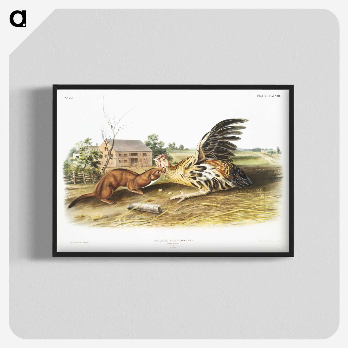 1-83_The-Viviparous-Quadrupeds_blk-crop