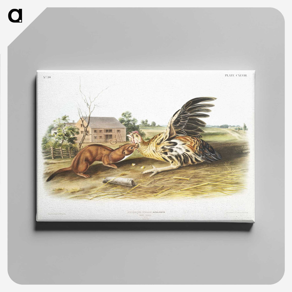 1-83_The-Viviparous-Quadrupeds_canvas