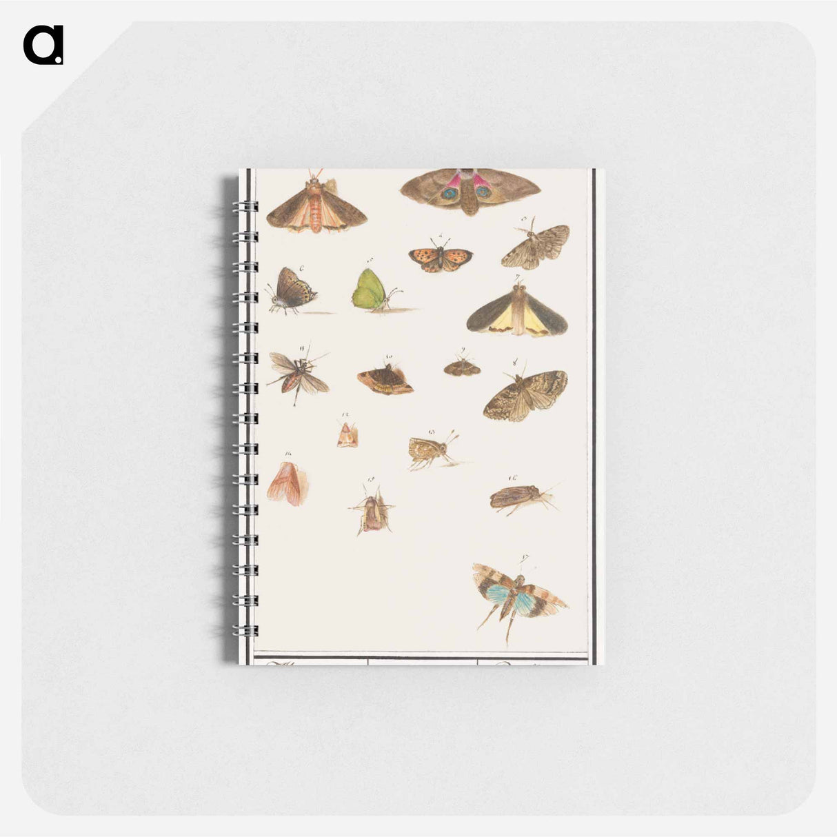 アートメモ帳-Butterflies and moths - アンセルムス ボエティウス デ ブート Memo.