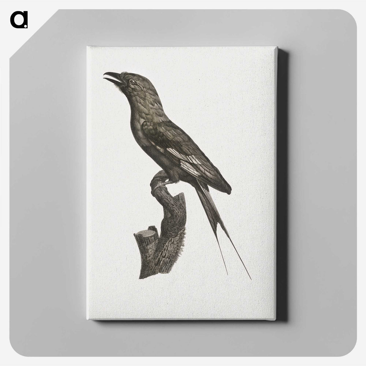 1-84_Des-Oiseaux-de-Paradis_canvas