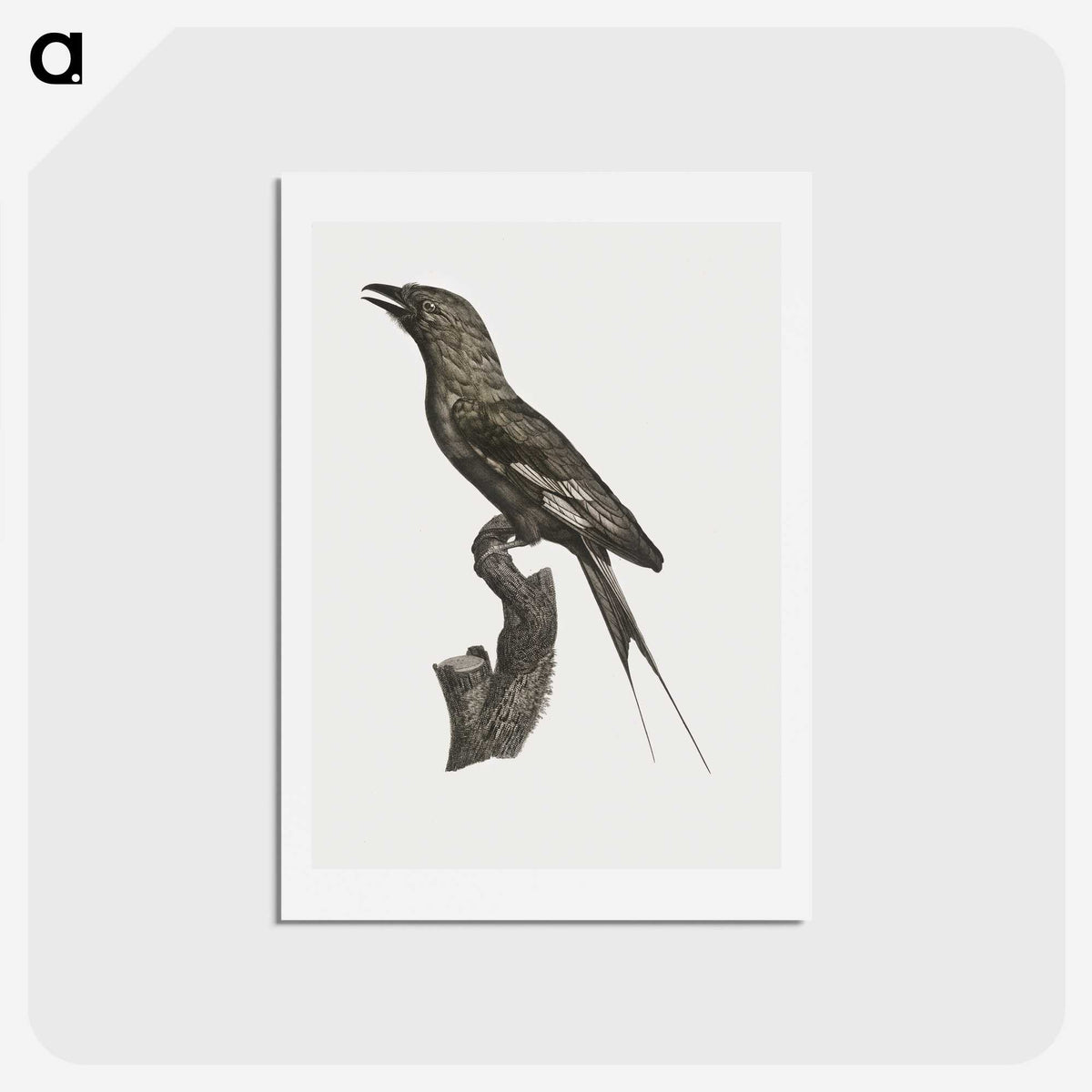 1-84_Des-Oiseaux-de-Paradis_hagaki