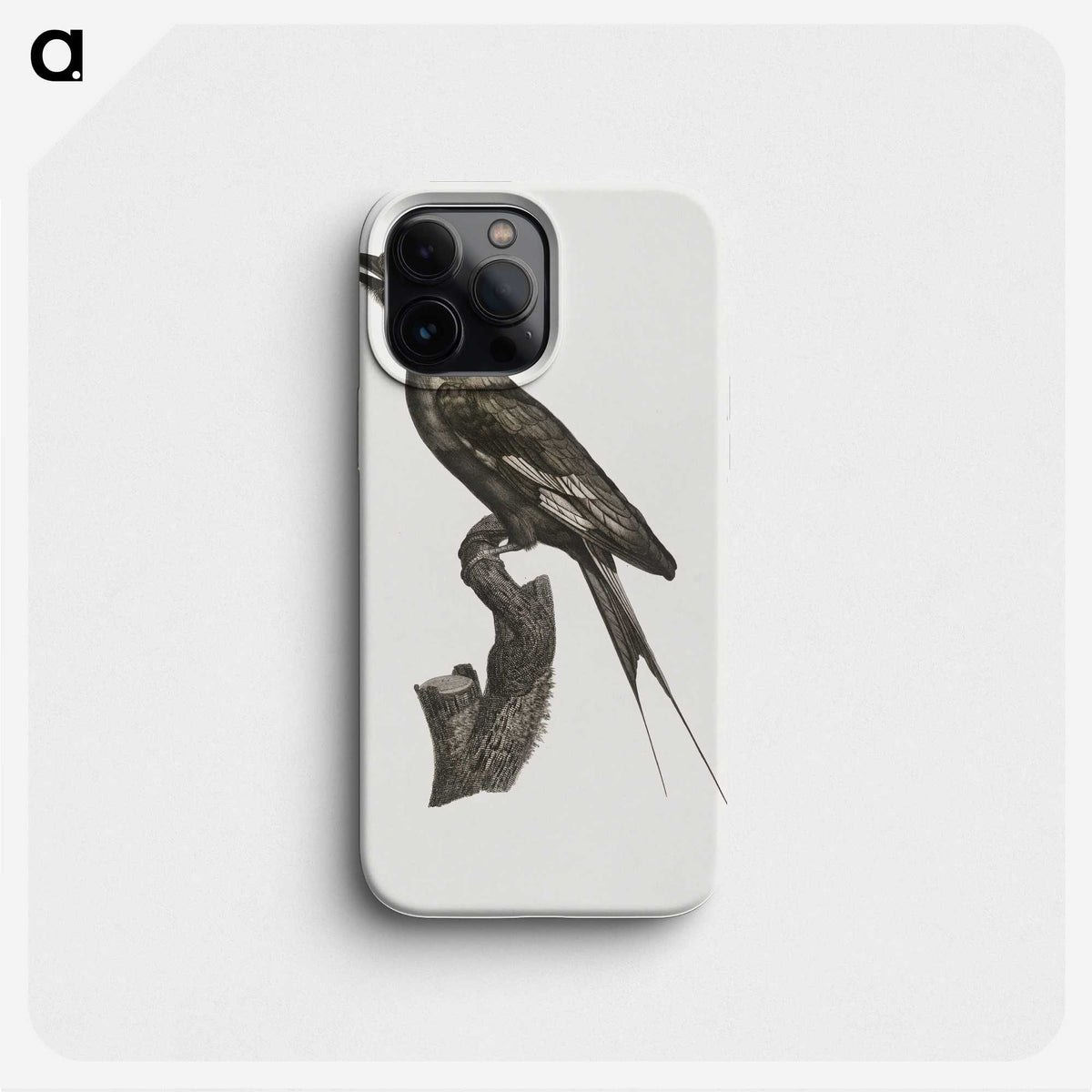 1-84_Des-Oiseaux-de-Paradis_phone