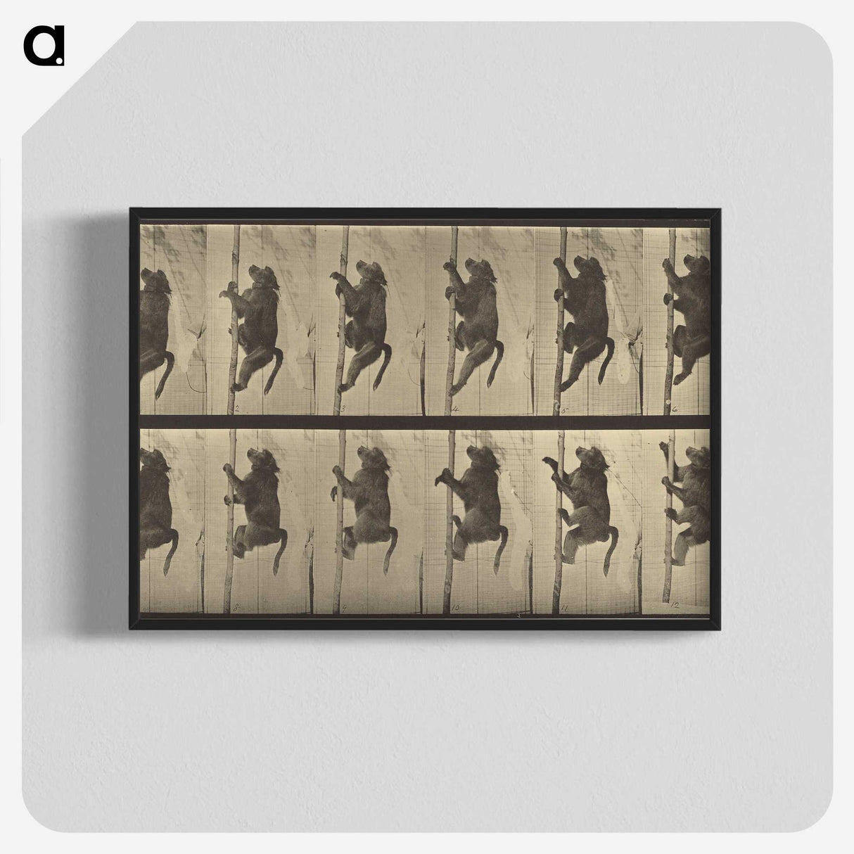 1-84_Eadweard-Muybridge_blk-crop