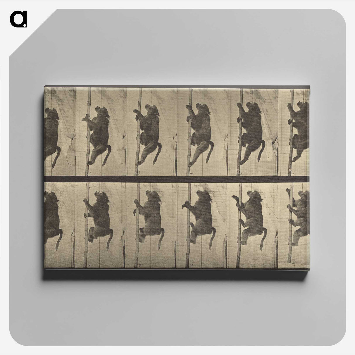 1-84_Eadweard-Muybridge_canvas