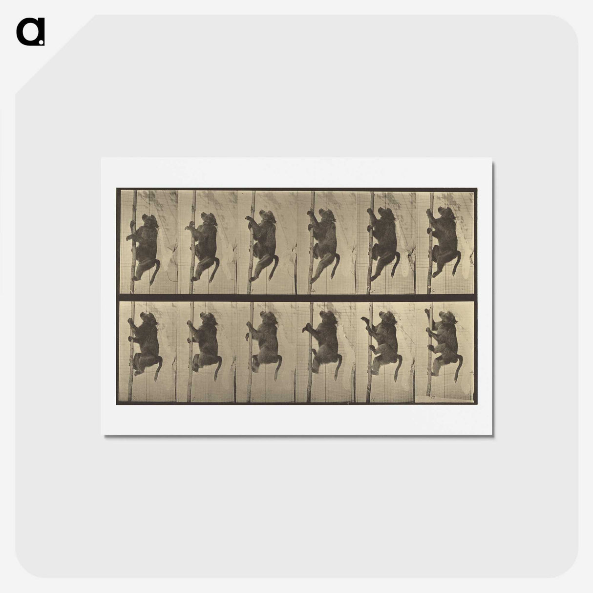 1-84_Eadweard-Muybridge_hagaki