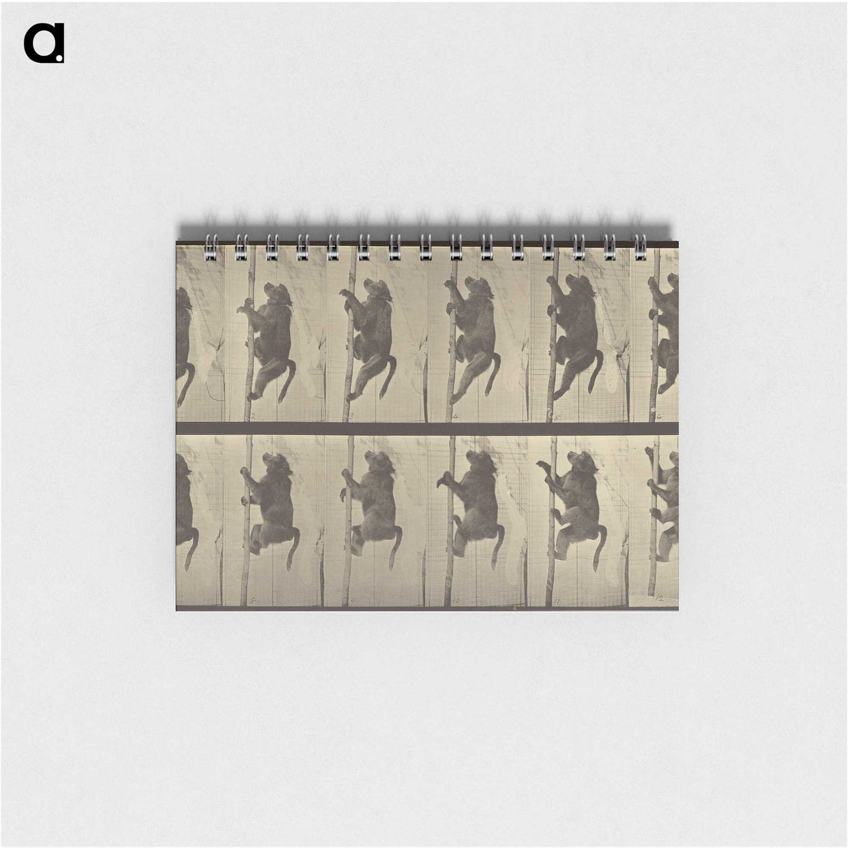 1-84_Eadweard-Muybridge_memo