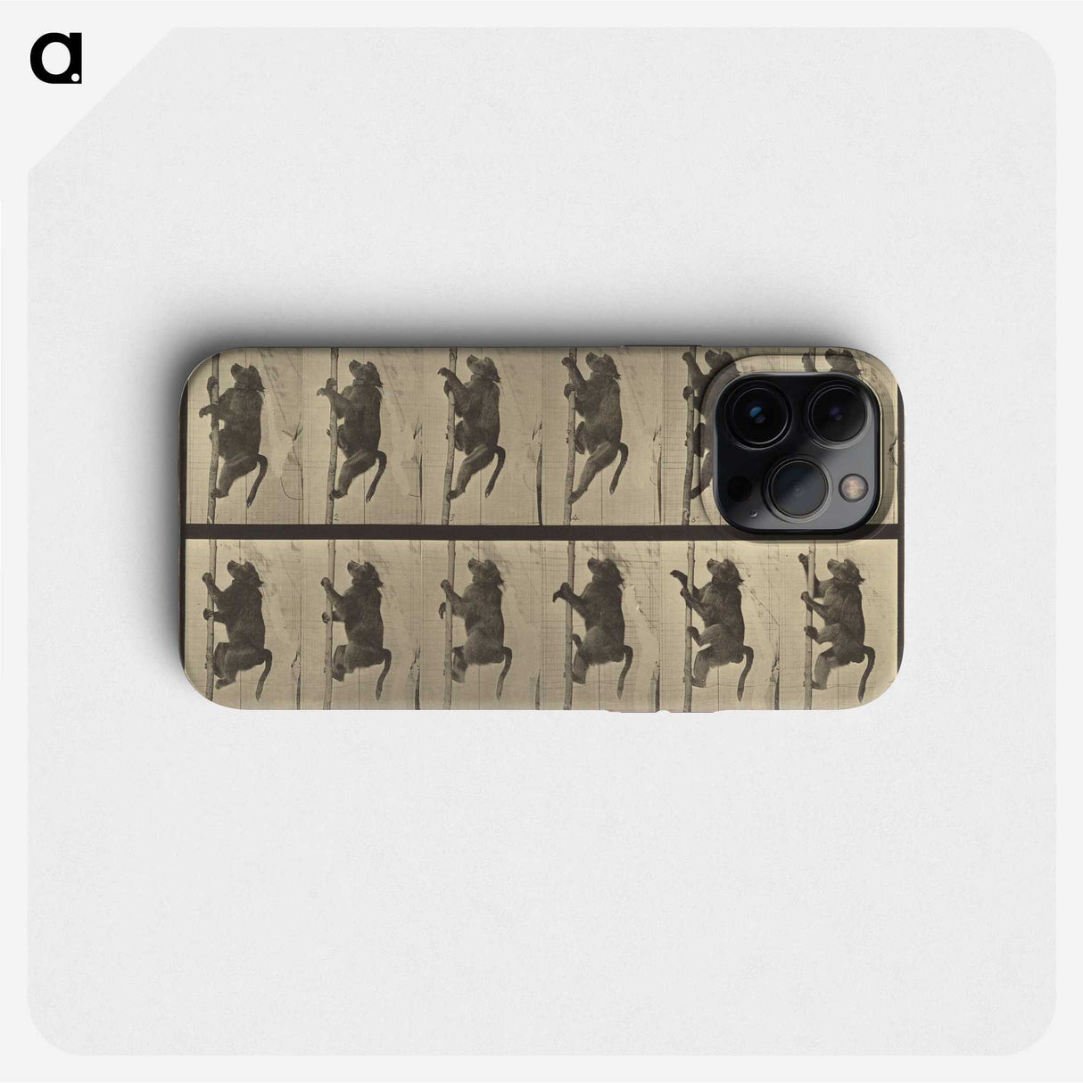 1-84_Eadweard-Muybridge_phone
