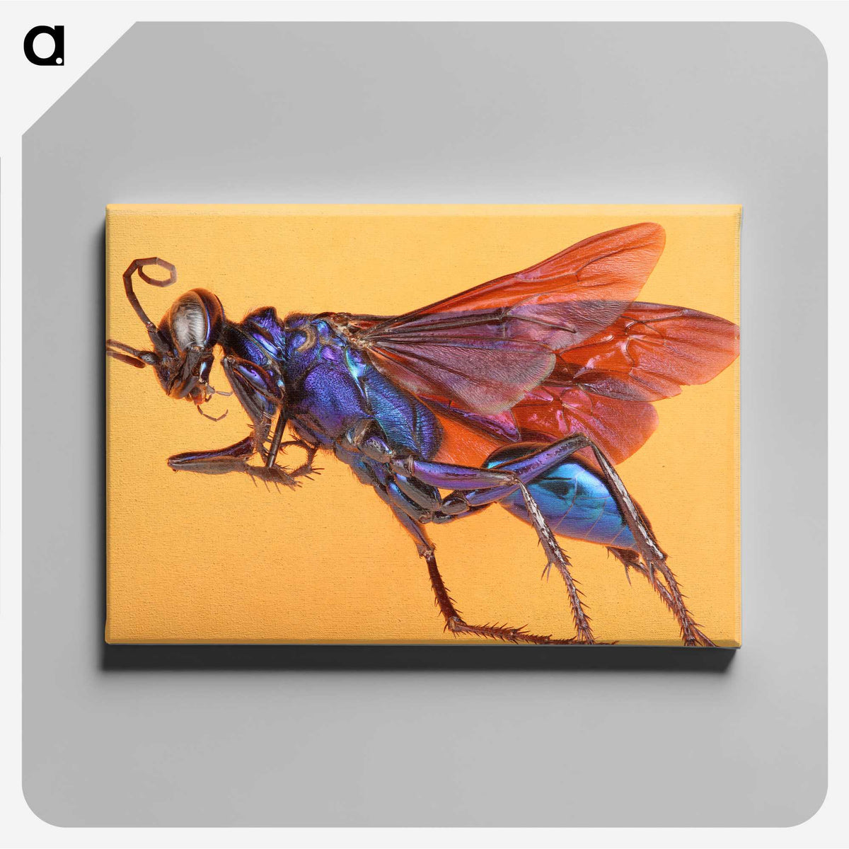 1-84_Insects-Unlocked-Project_canvas