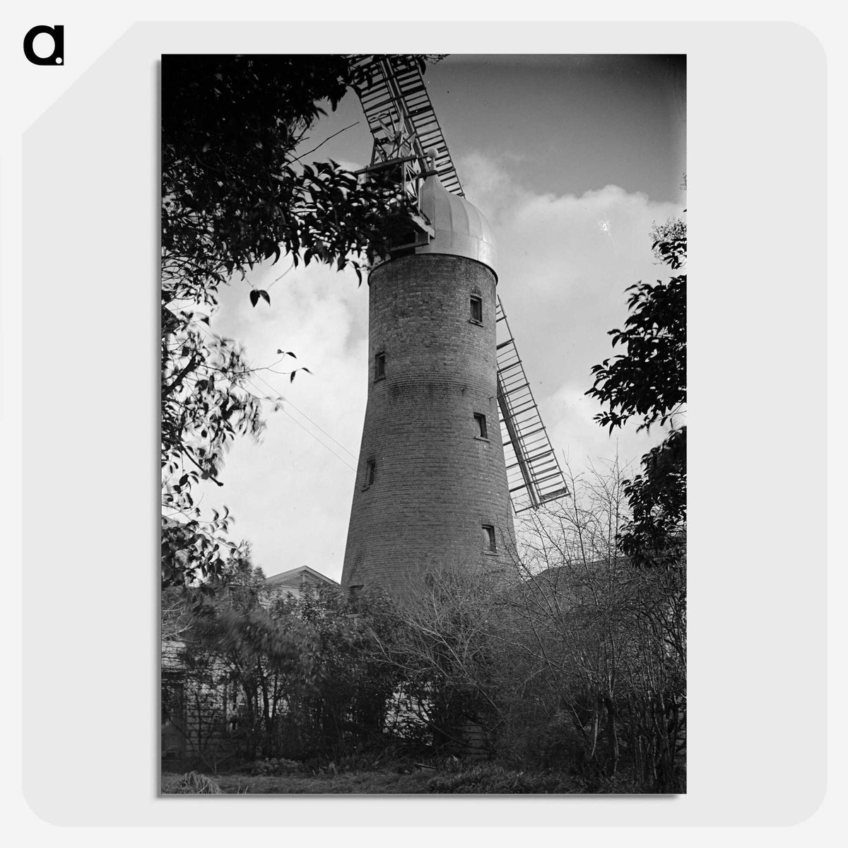 1-84_James-Walter-Chapman-Taylor_picture-crop