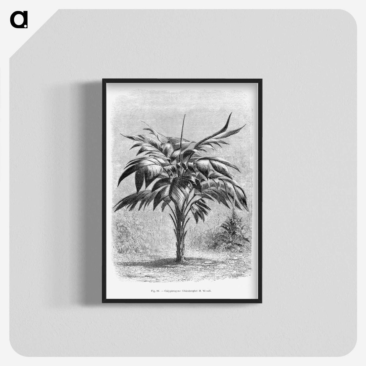 1-84_Les-Palmiers-Histoire-Iconographique_blk-crop