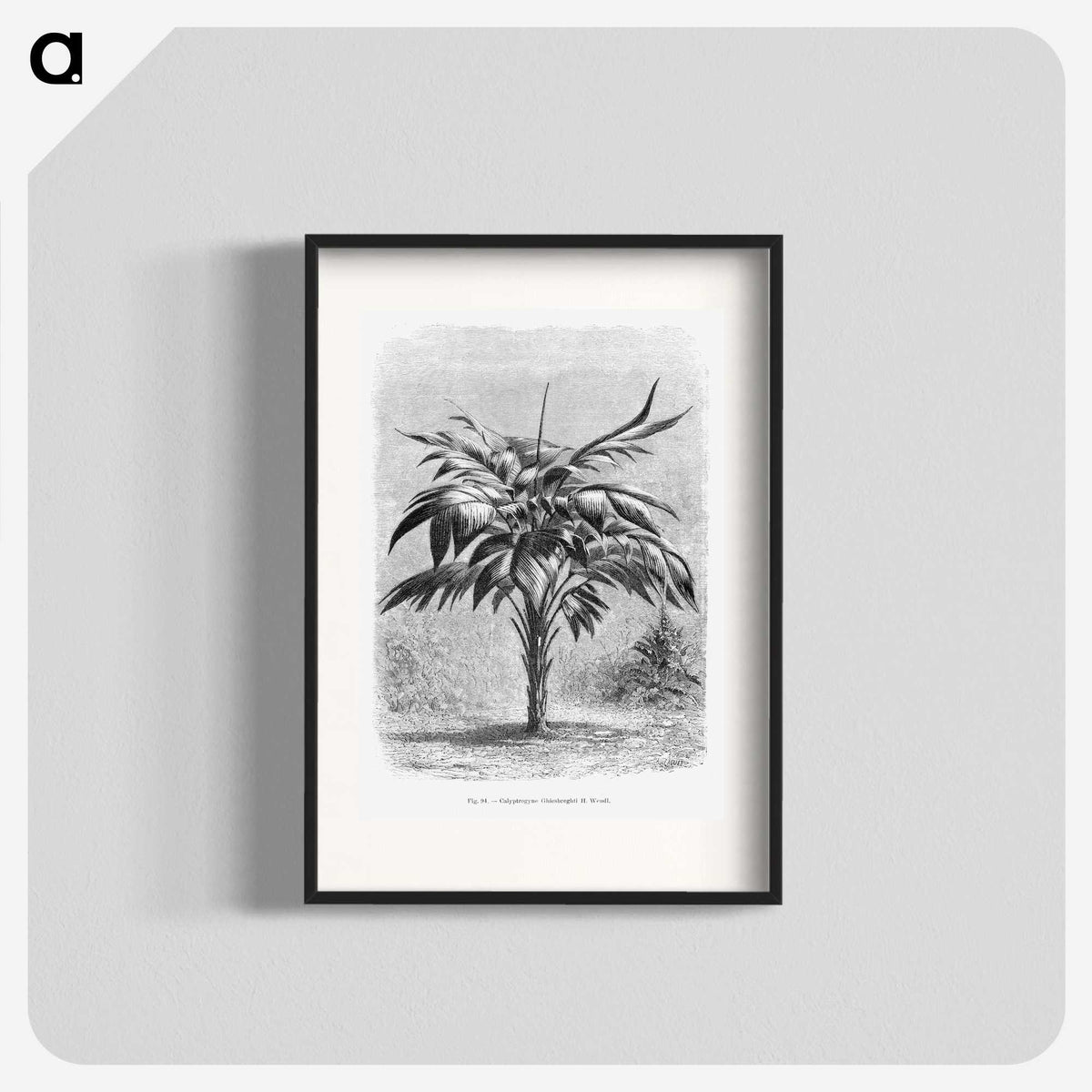 1-84_Les-Palmiers-Histoire-Iconographique_blk