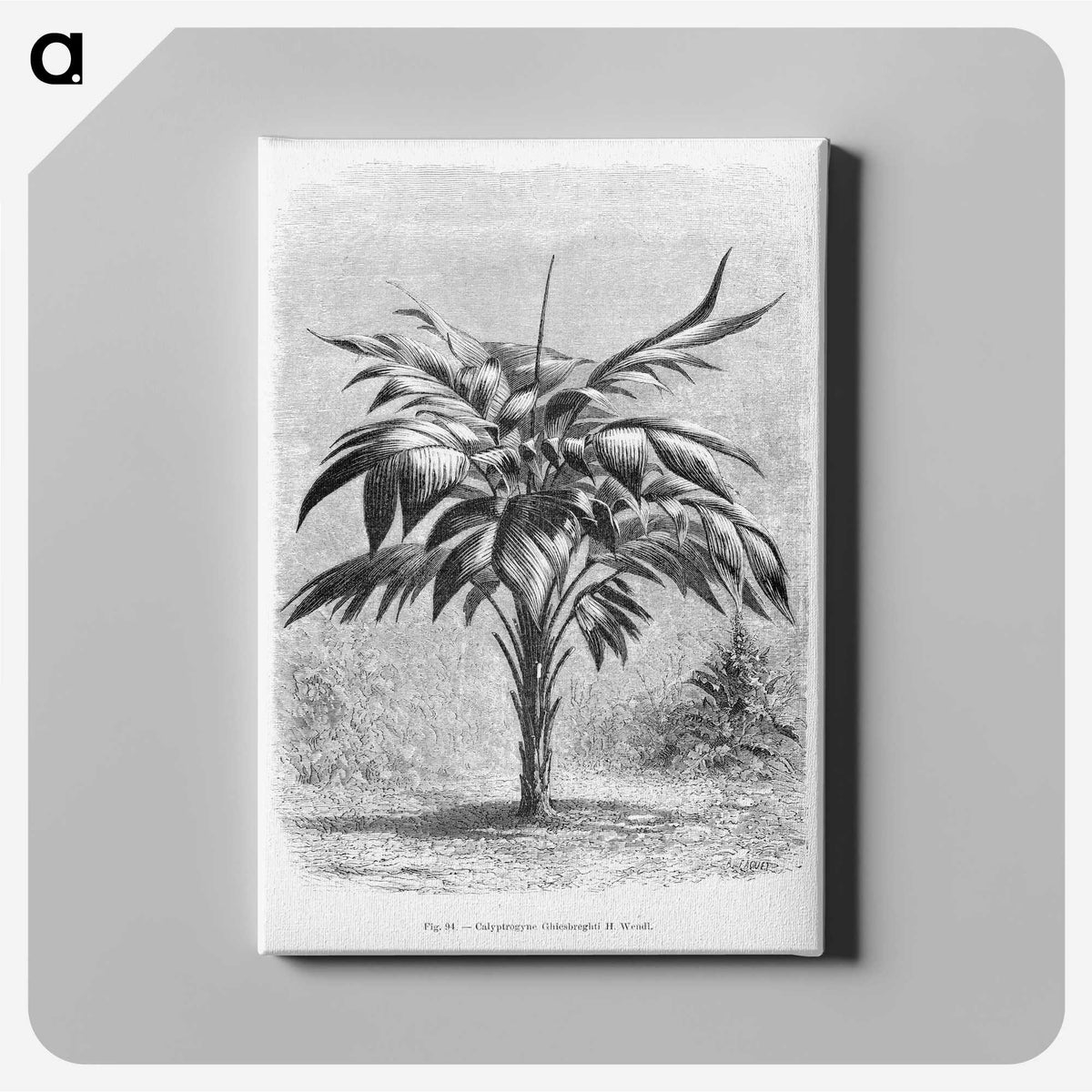 1-84_Les-Palmiers-Histoire-Iconographique_canvas