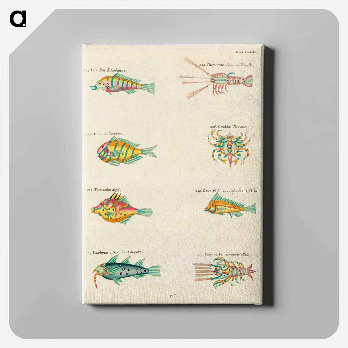 アートパネル-Moluccan Marine Life
- ルイ ルナール Canvas.