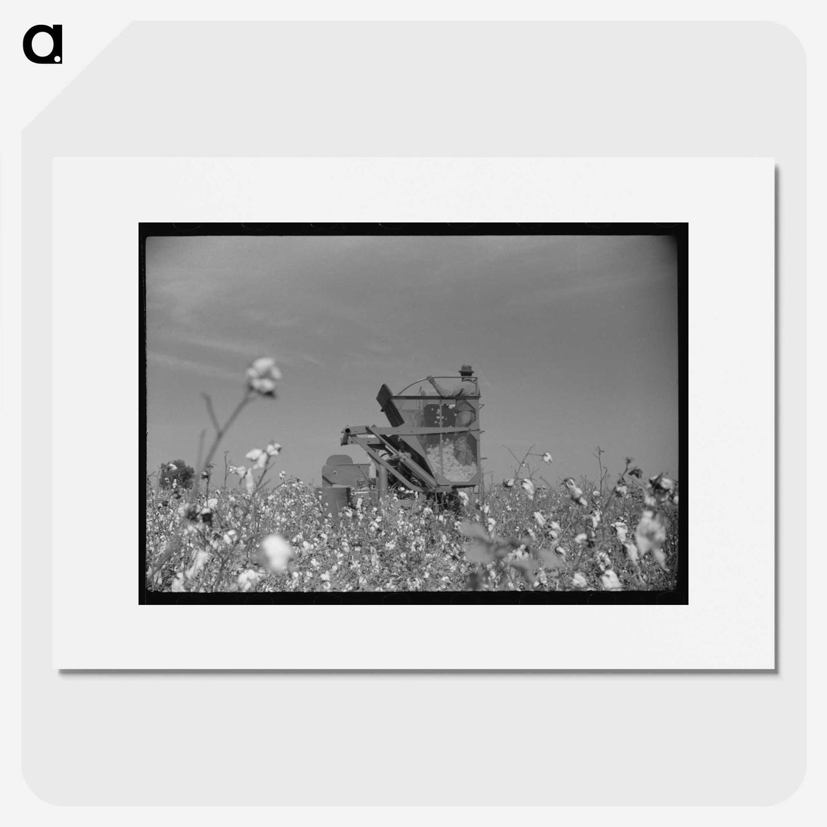 1-84_Marion-Post-Wolcott_picture