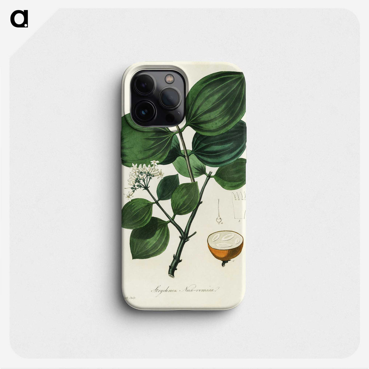 1-84_Medical-Botany_phone