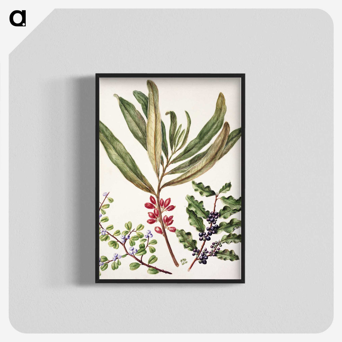 1-84_Native-Flowering-Plants-of-New-Zealand_blk-crop