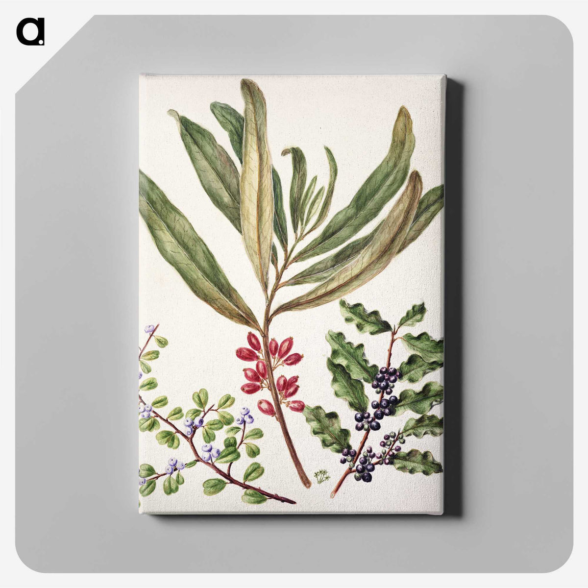 1-84_Native-Flowering-Plants-of-New-Zealand_canvas