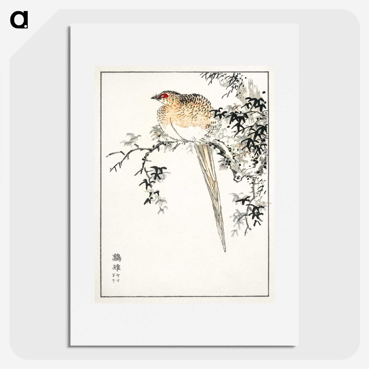 1-84_Pictorial-Monograph-of-Birds_picture