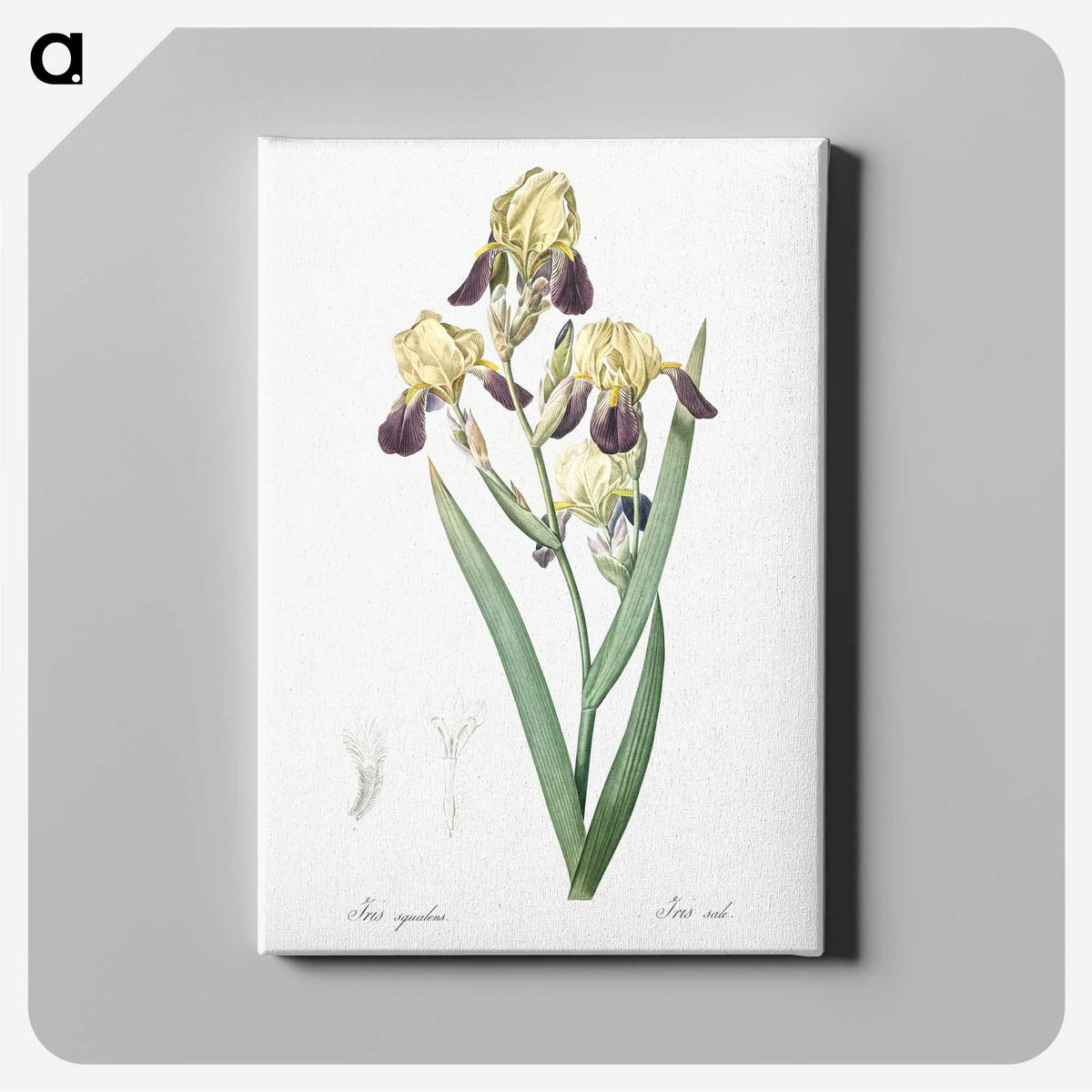 1-84_The-Lilies_canvas