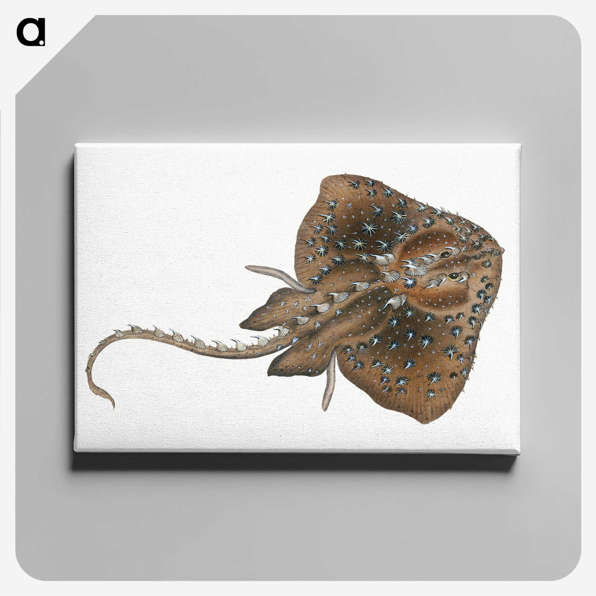 1-84_The-Natural-History-of-British-Fishes_canvas
