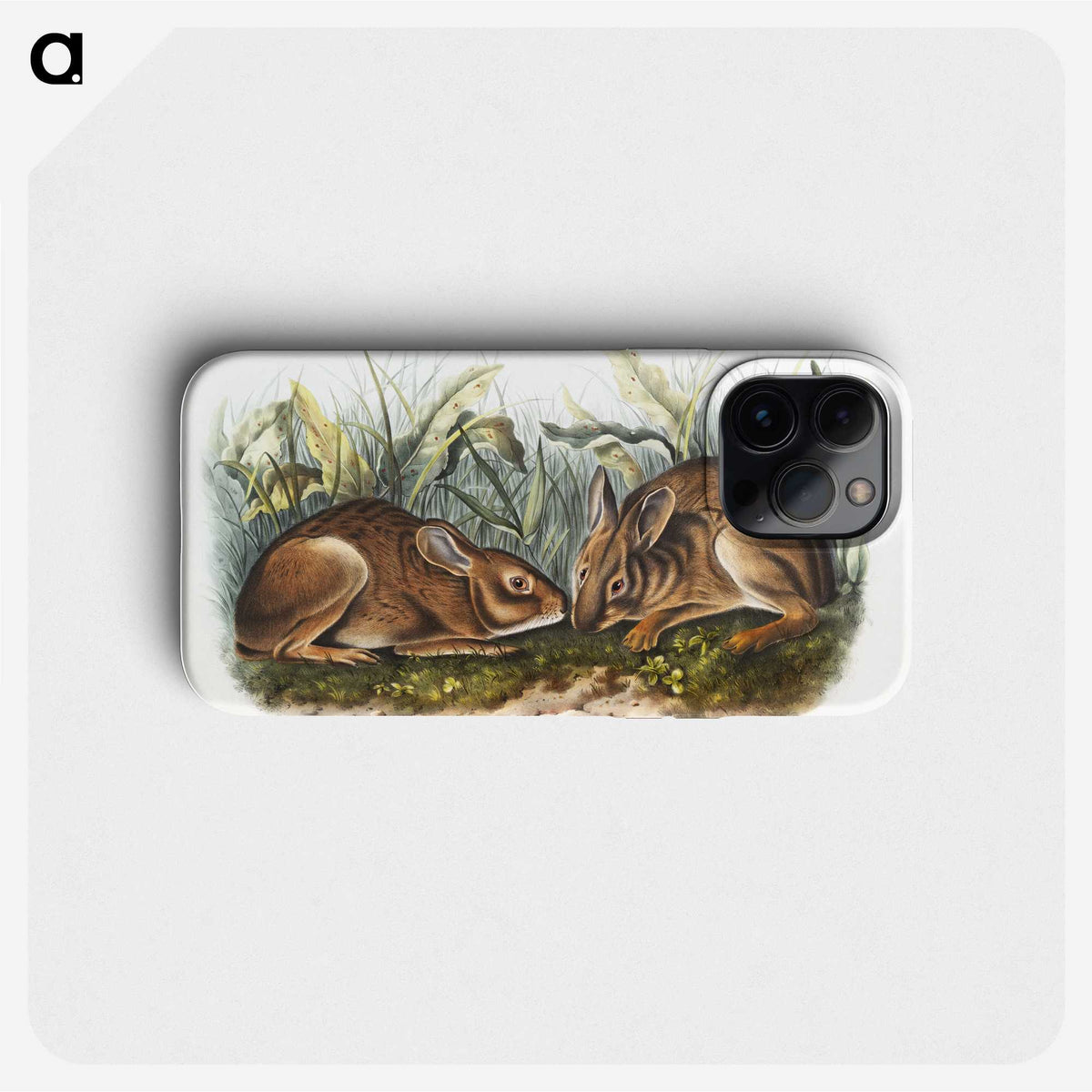 1-84_The-Viviparous-Quadrupeds_phone