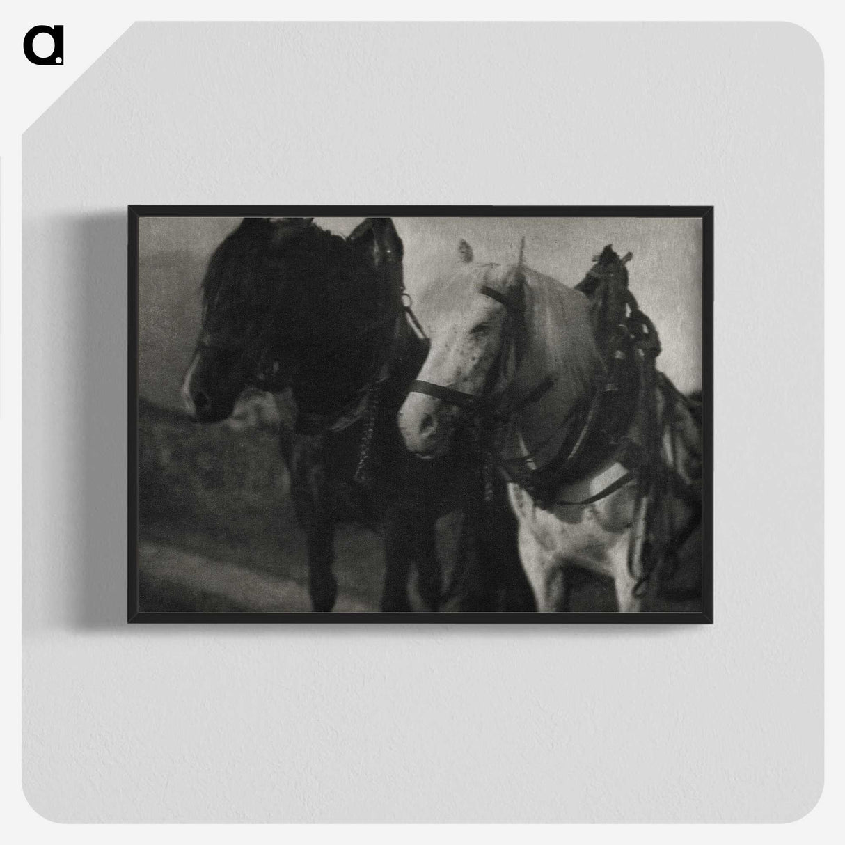 1-85_Alfred-Stieglitz_blk-crop