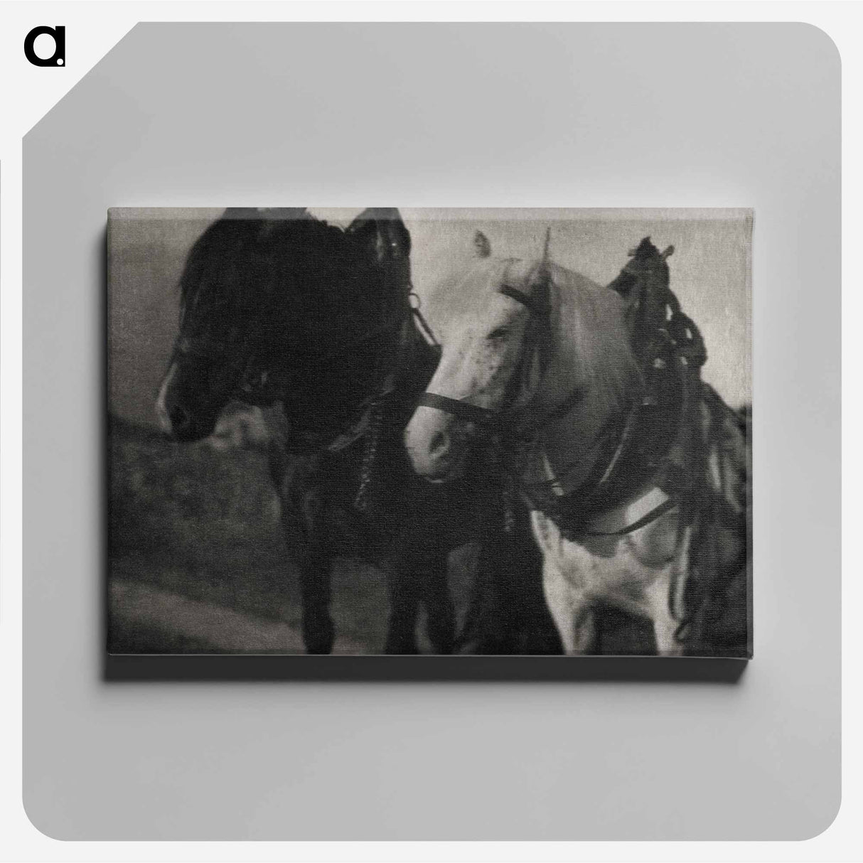 Horses during 20th century photo - アルフレッド スティーグリッツ Canvas.