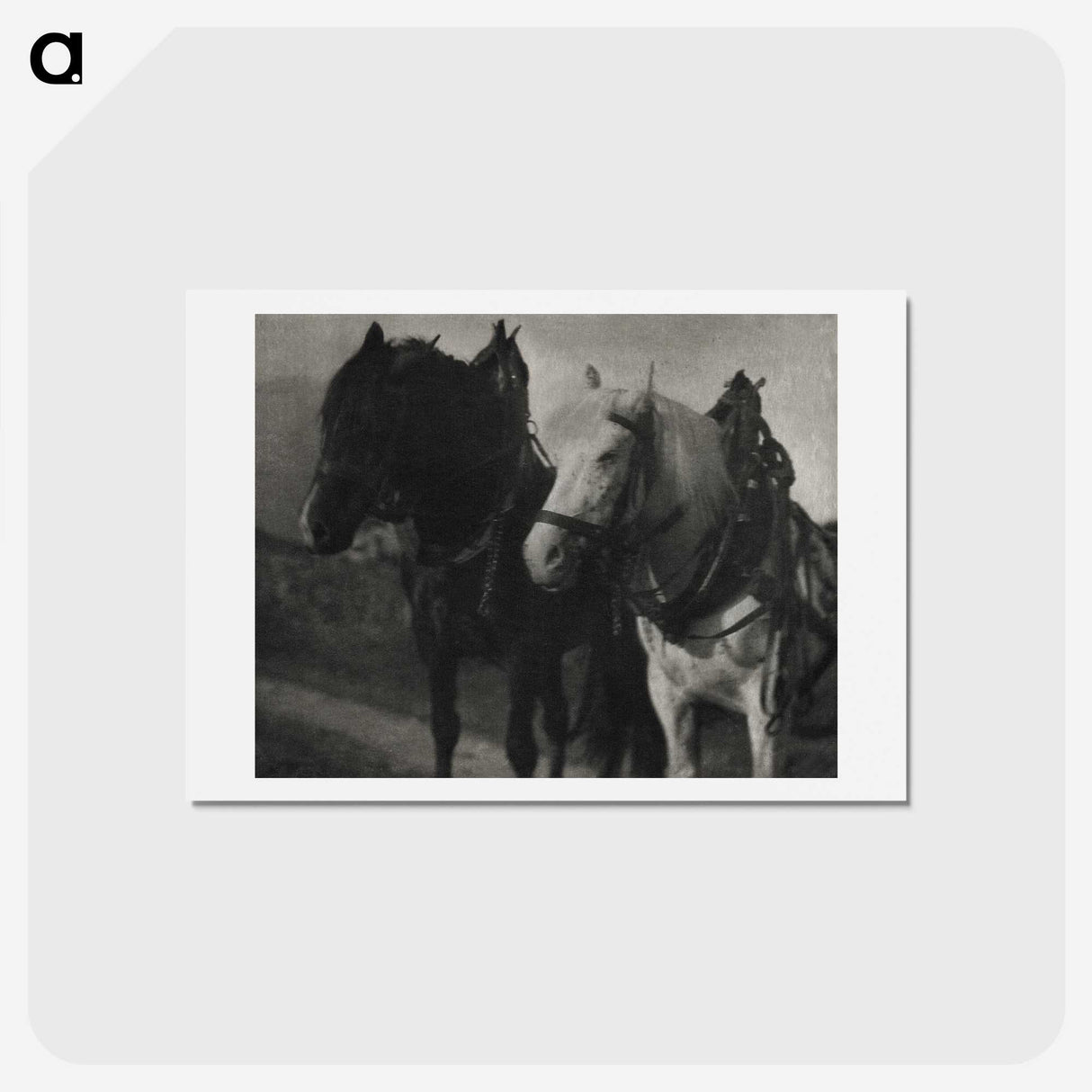 1-85_Alfred-Stieglitz_hagaki