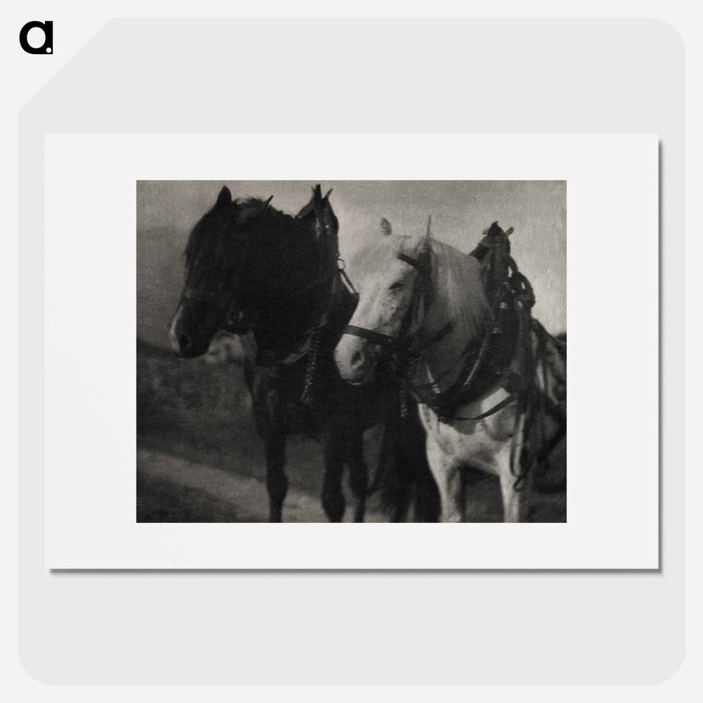 Horses during 20th century photo - アルフレッド スティーグリッツ Poster.