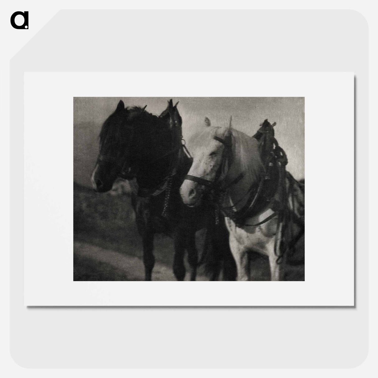 Horses during 20th century photo - アルフレッド スティーグリッツ Poster.