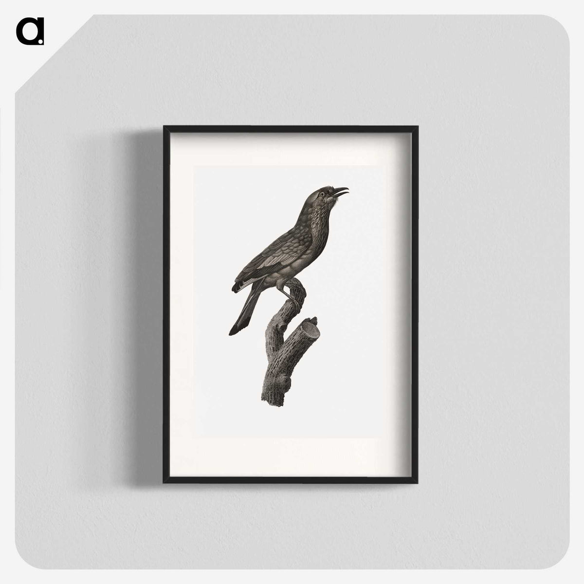 1-85_Des-Oiseaux-de-Paradis_blk