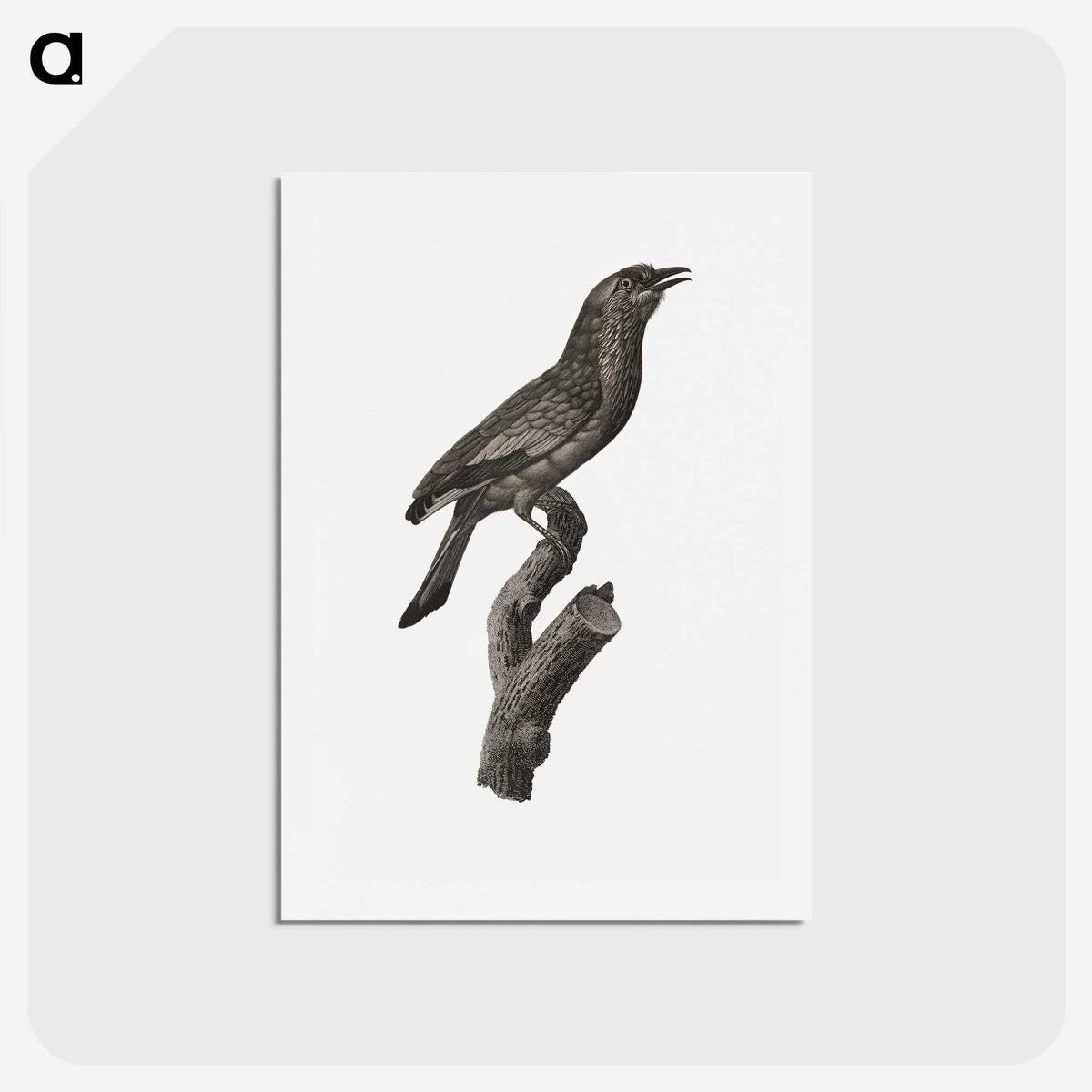 1-85_Des-Oiseaux-de-Paradis_hagaki