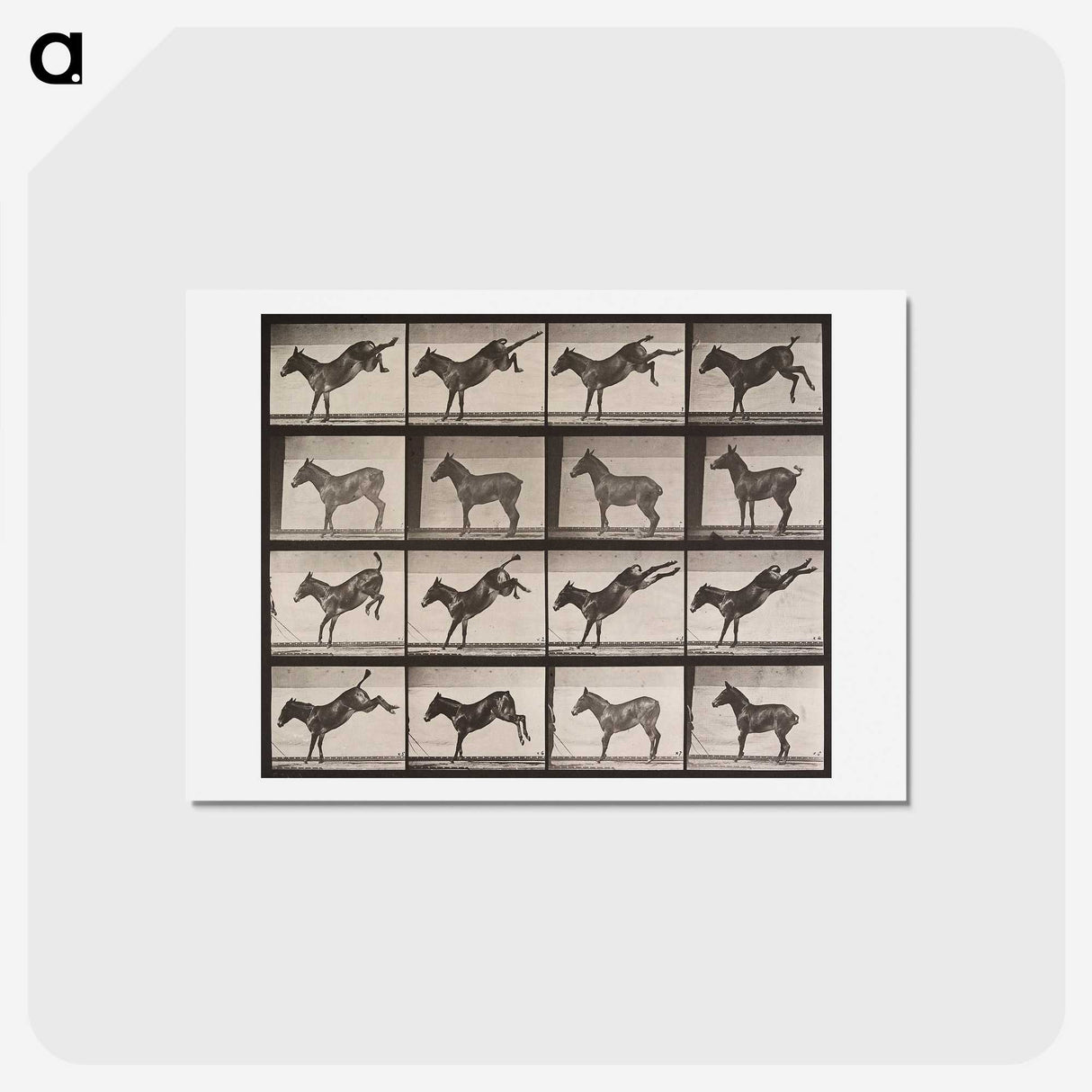 1-85_Eadweard-Muybridge_hagaki