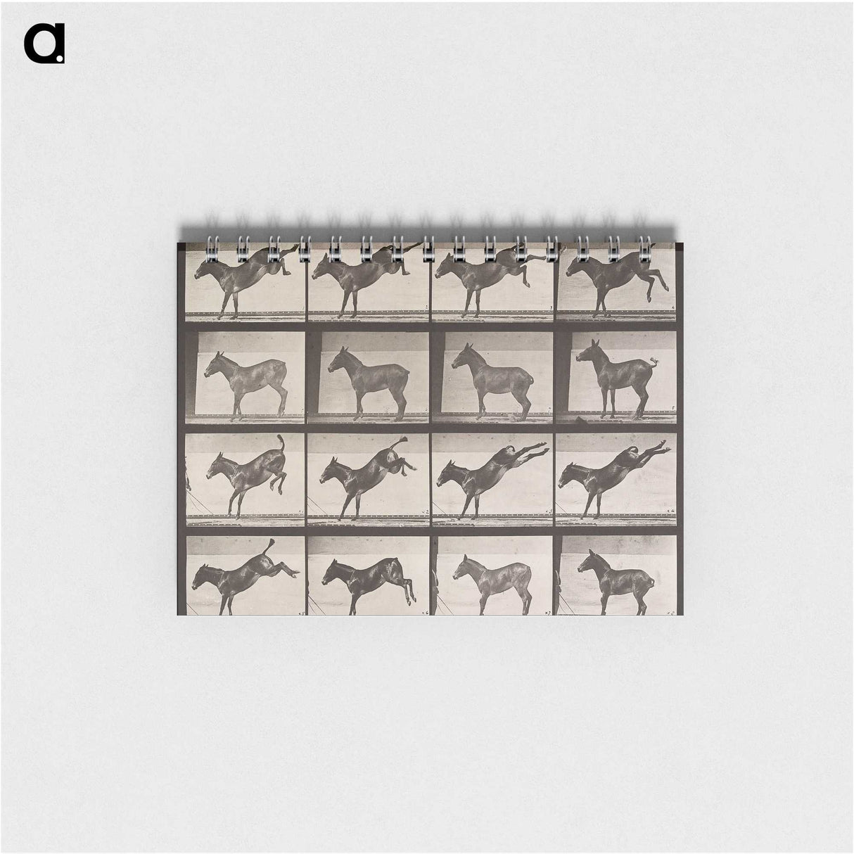 1-85_Eadweard-Muybridge_memo