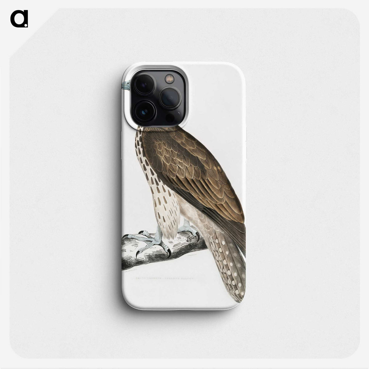 1-85_Indian-Zoology_phone