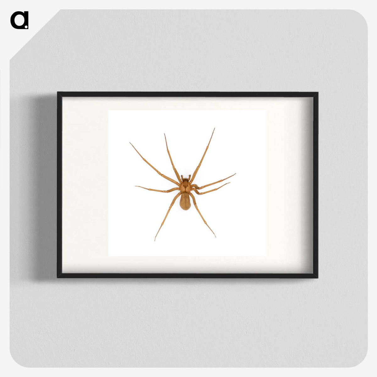 1-85_Insects-Unlocked-Project_blk