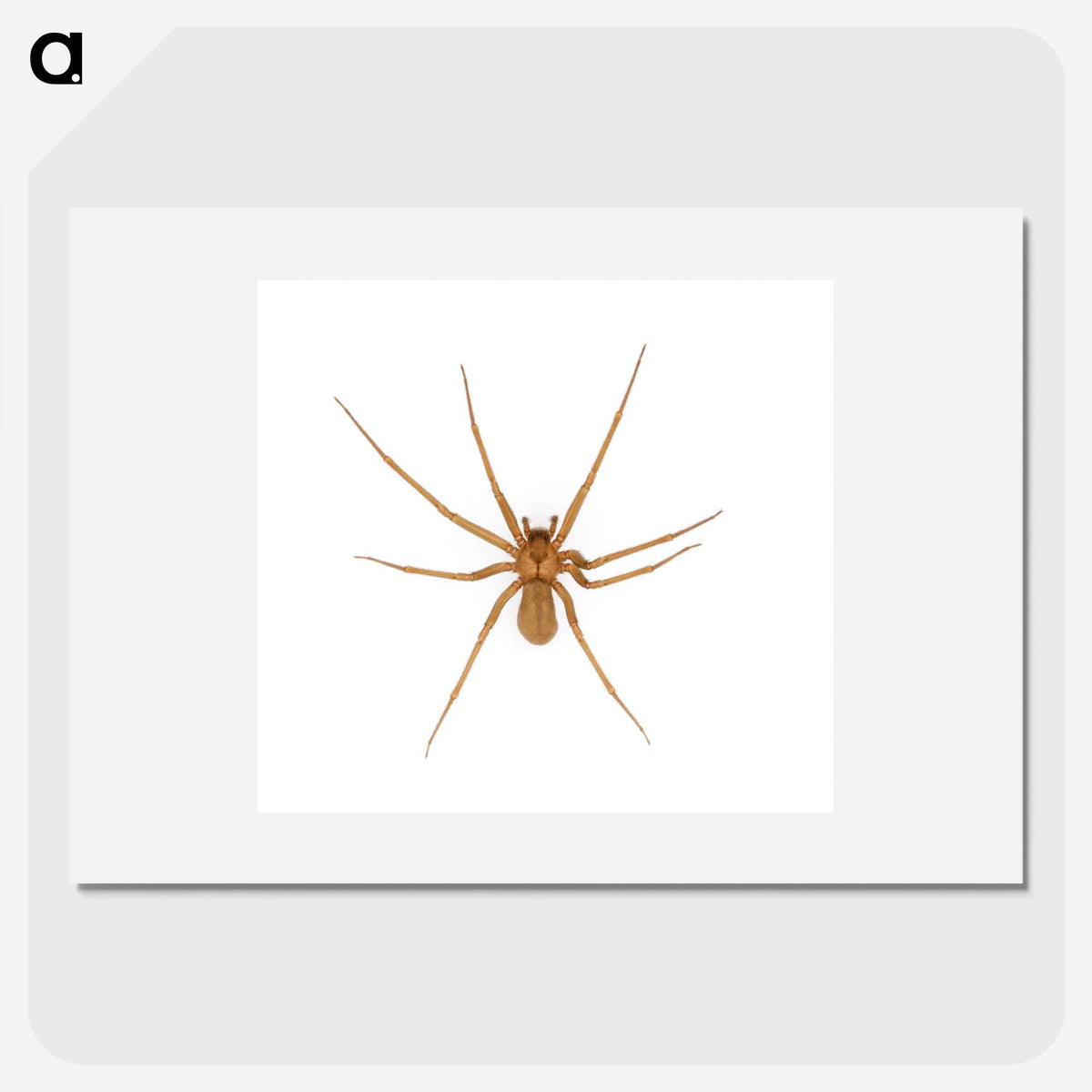 1-85_Insects-Unlocked-Project_picture