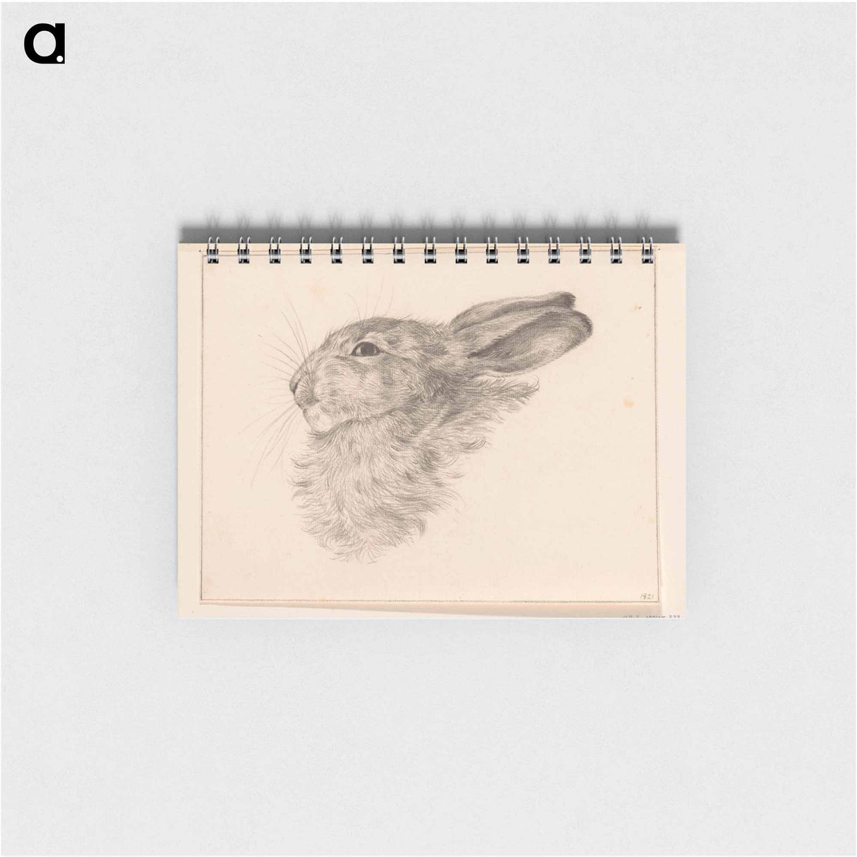 Kop van een konijn - ジャン ベルナール Memo.