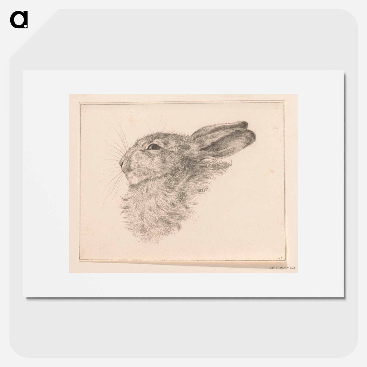 Kop van een konijn - ジャン ベルナール Poster.