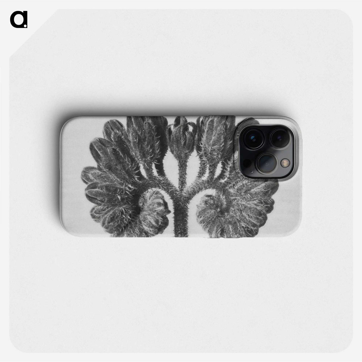 1-85_Karl-Blossfeldt_phone