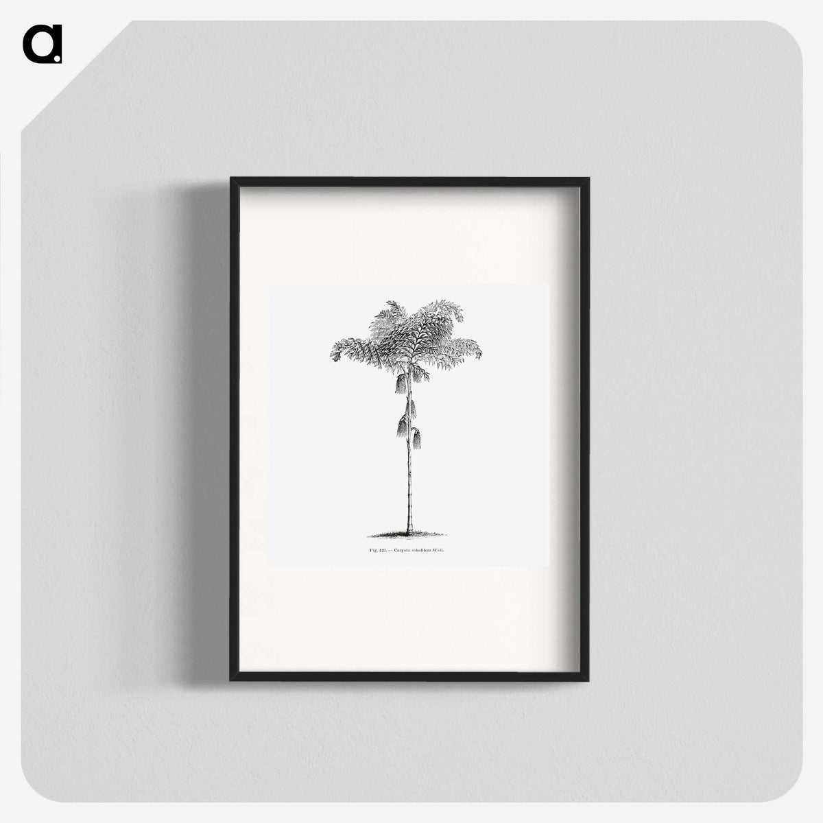 1-85_Les-Palmiers-Histoire-Iconographique_blk