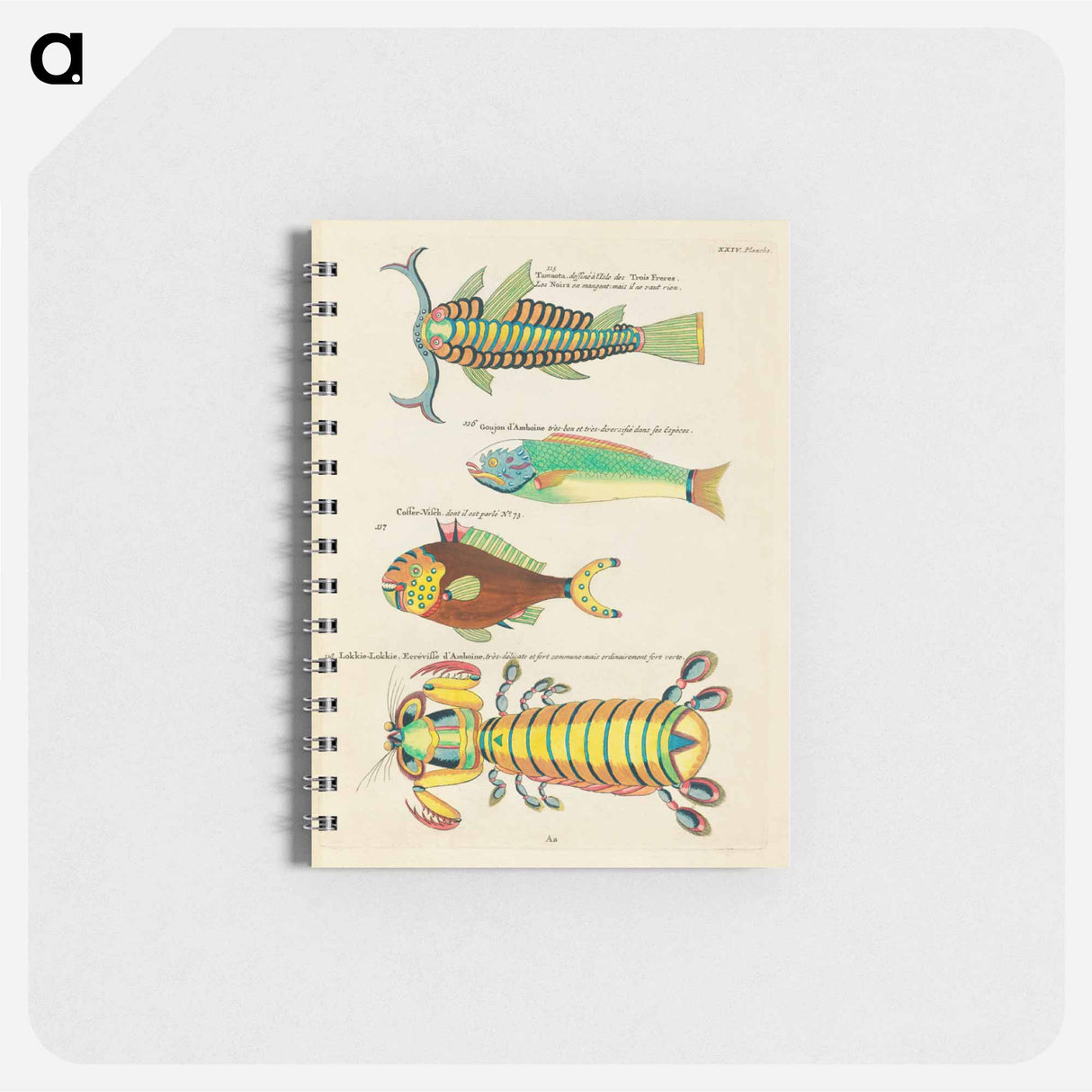 Moluccan Marine Life
- ルイ ルナール Memo.