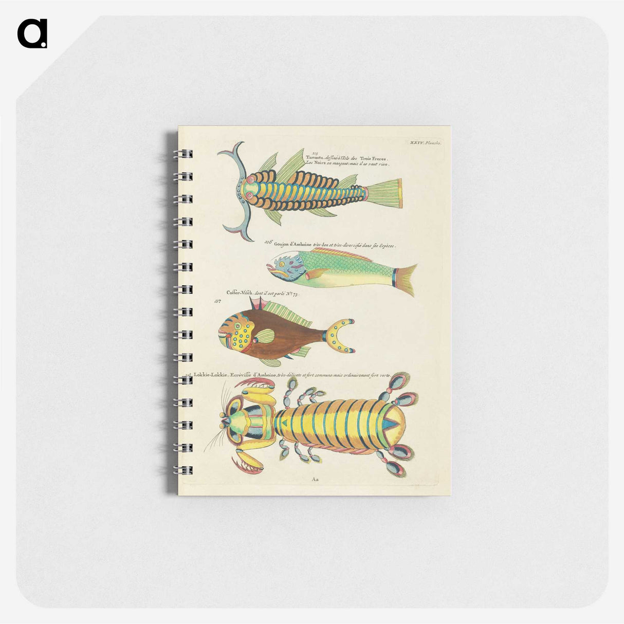 1-85_Louis-Renard_memo