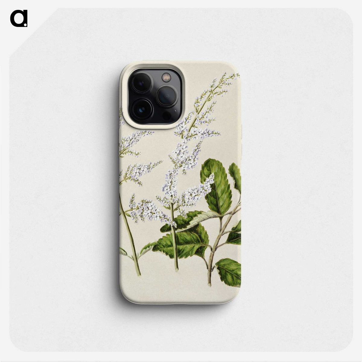 1-85_Native-Flowering-Plants-of-New-Zealand_phone