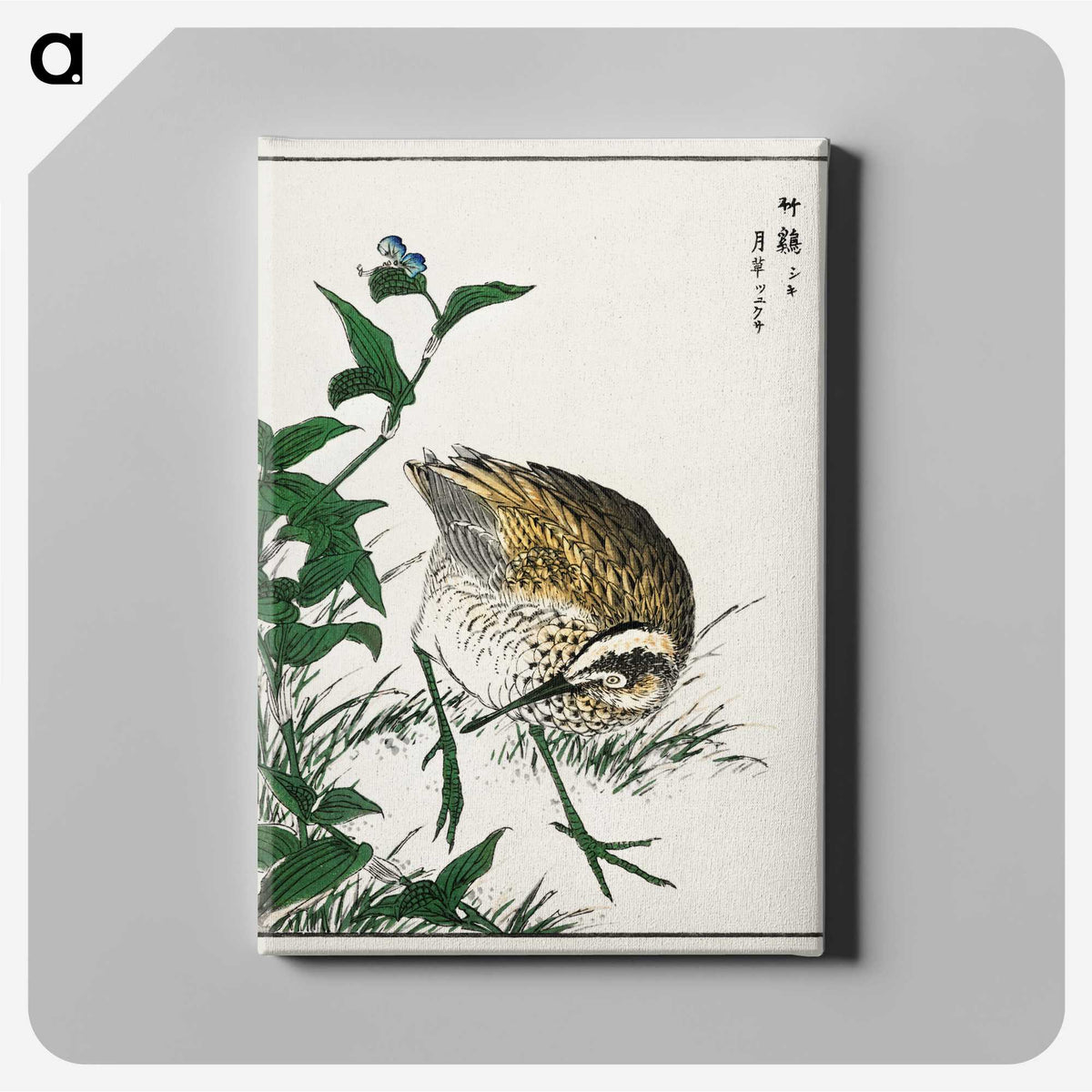1-85_Pictorial-Monograph-of-Birds_canvas