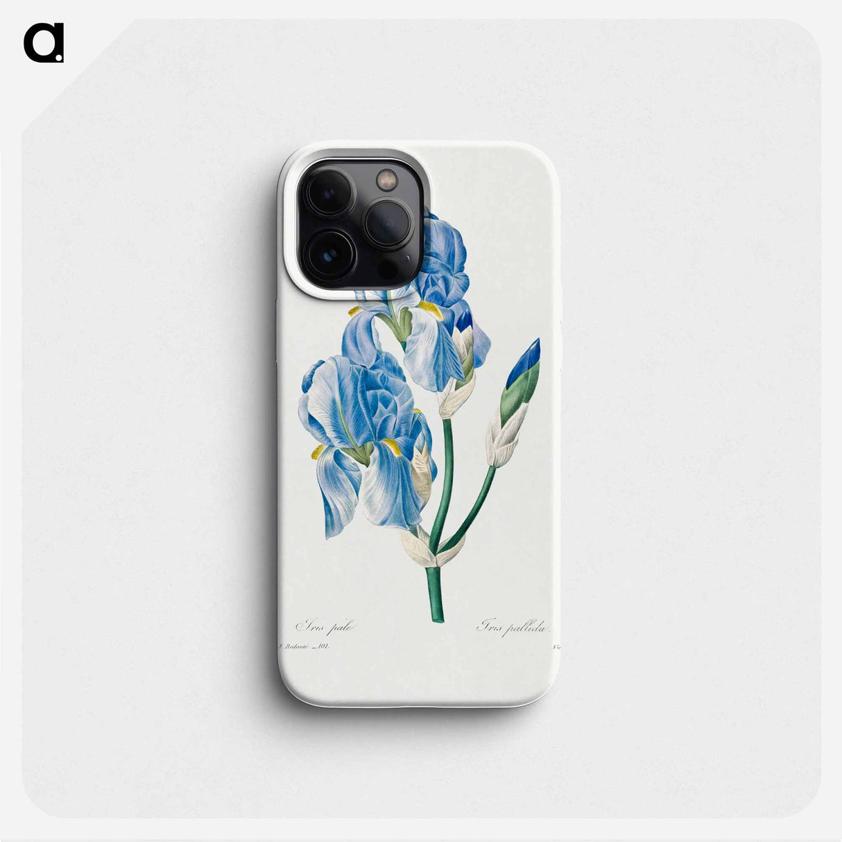 Iris Pallida - Pierre Joseph Redouté Phone Case.