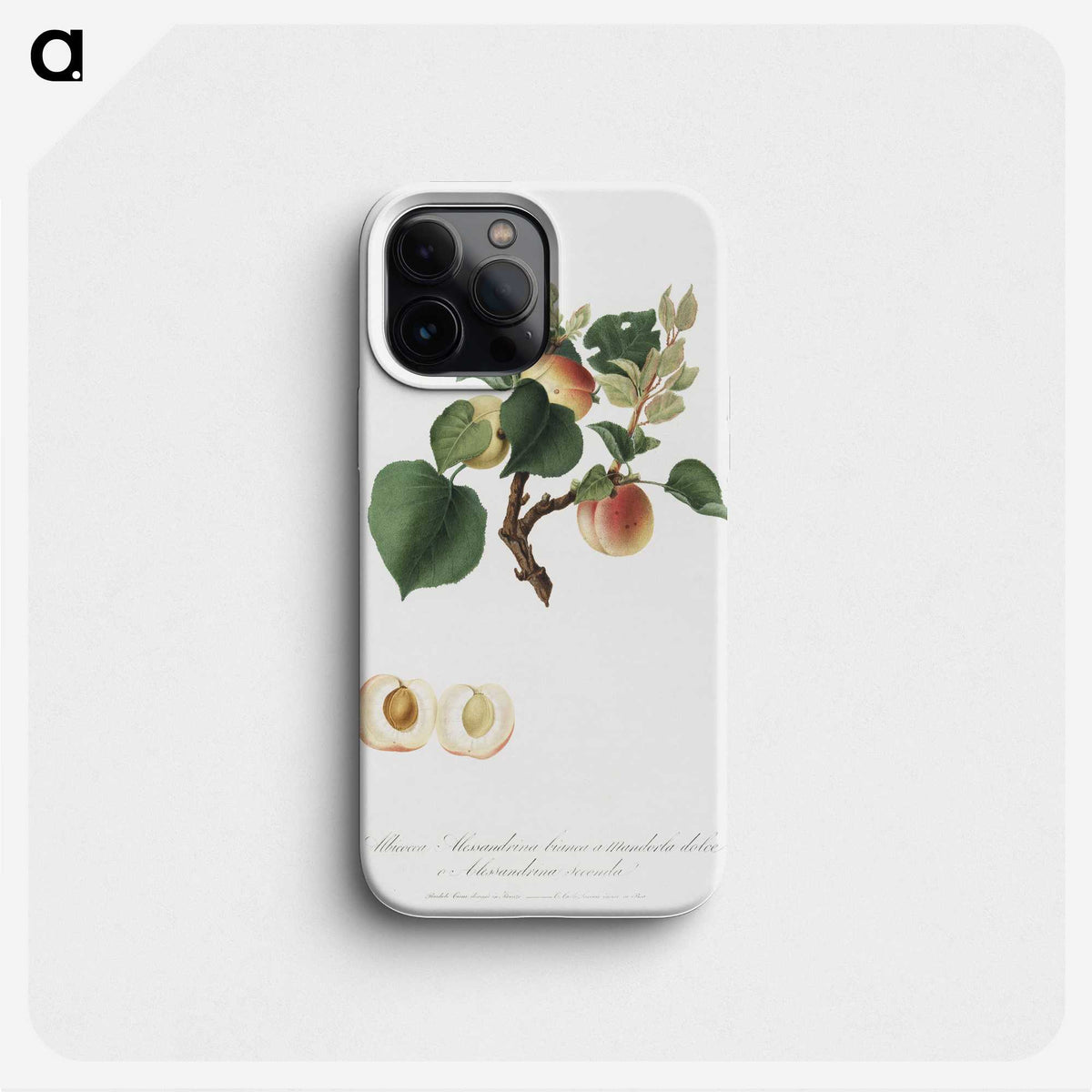 1-85_Pomona-Italiana_phone
